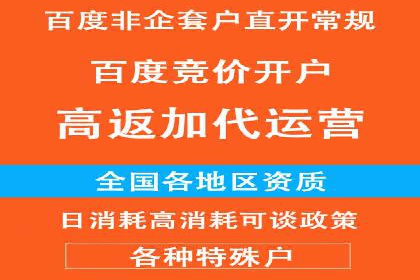 行业标杆：SEM托管公司案例解析